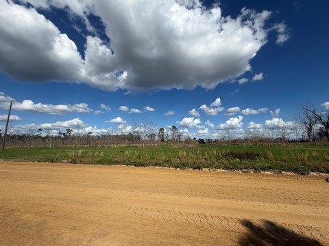3-Acre Country Parcel in Naylor
