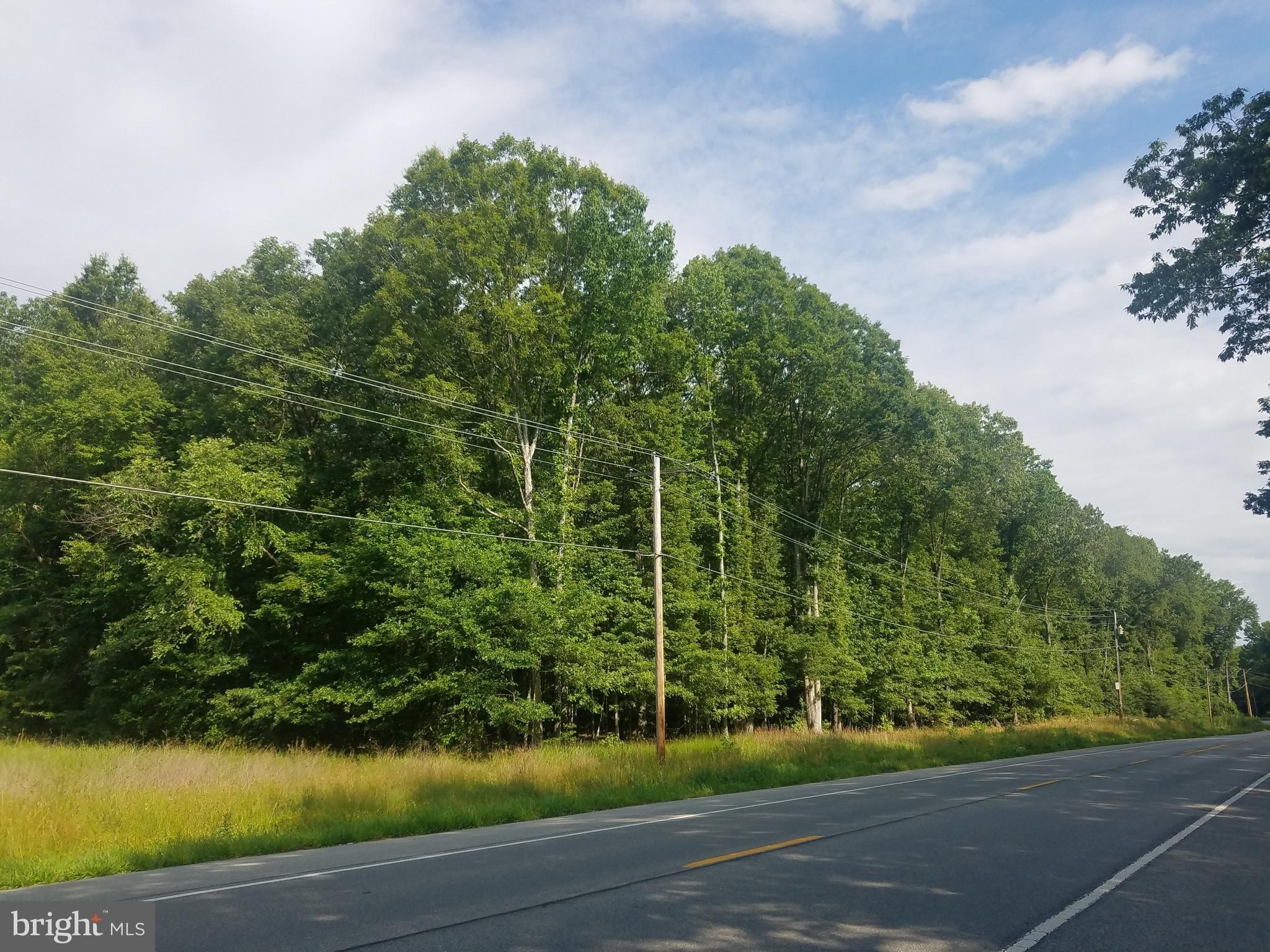 Expansive Land in La Plata
