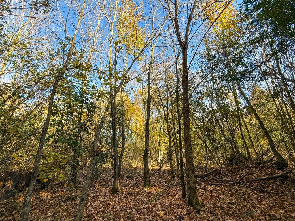 Picture 18