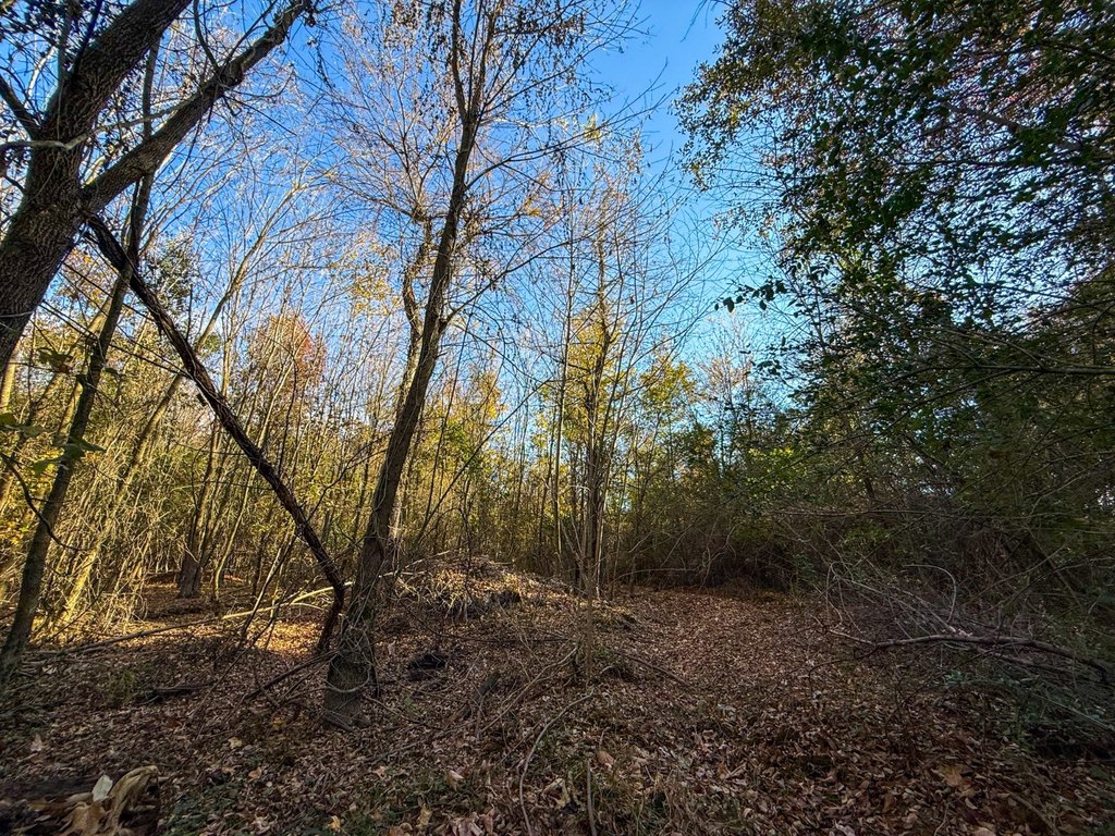 Picture 21