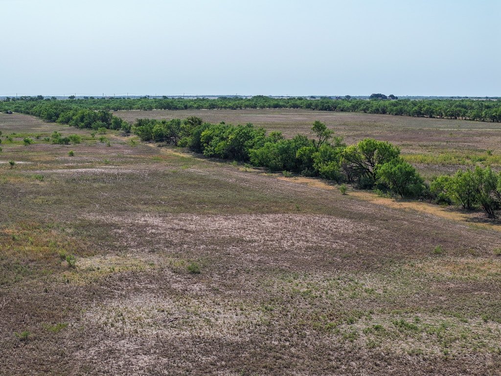 Picture 23