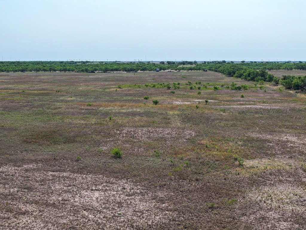 Picture 24
