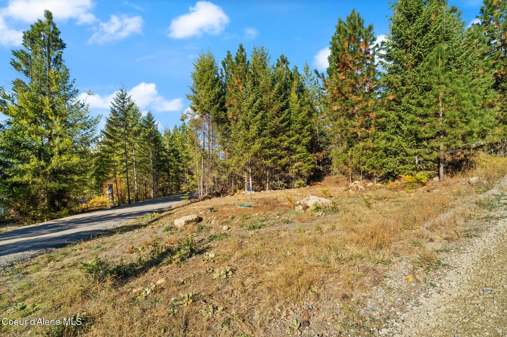 Picture 23