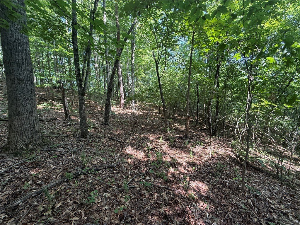 Picture 17
