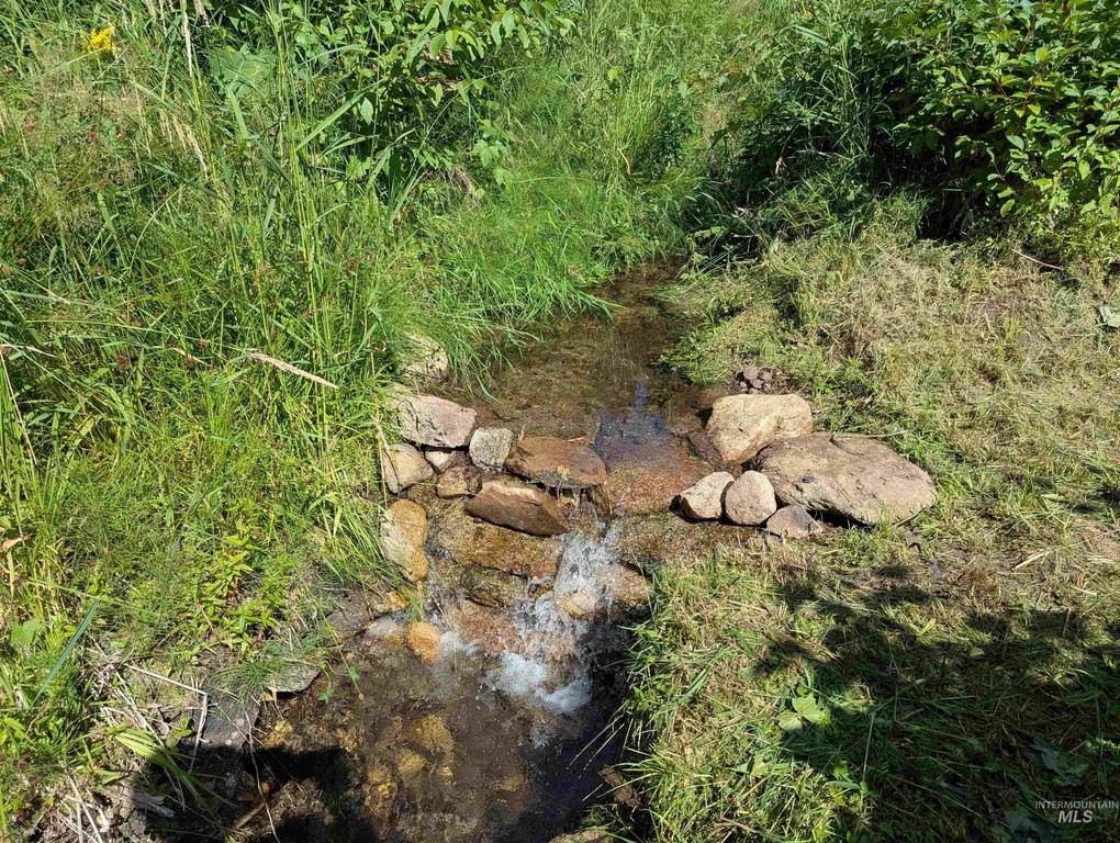 Picture 12