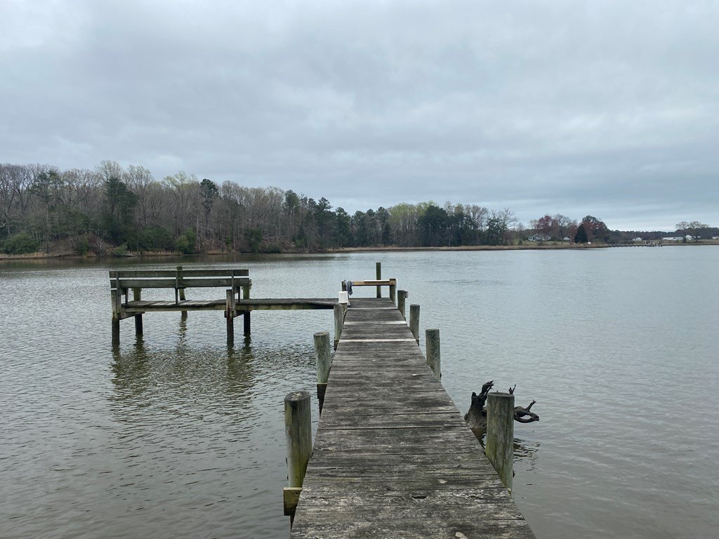 Picture 6