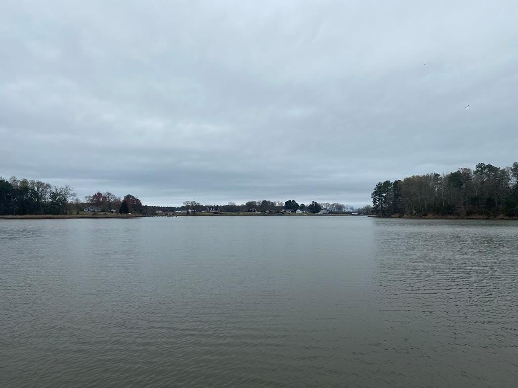 Picture 2