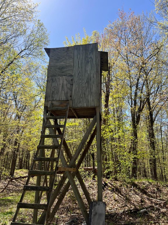 Picture 16