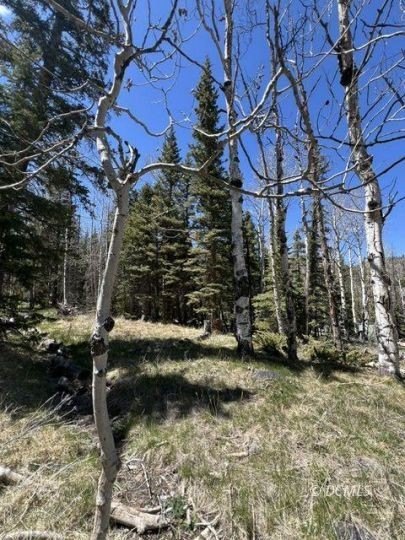 Picture 10