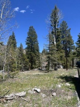 Residential Land with Natural Spring