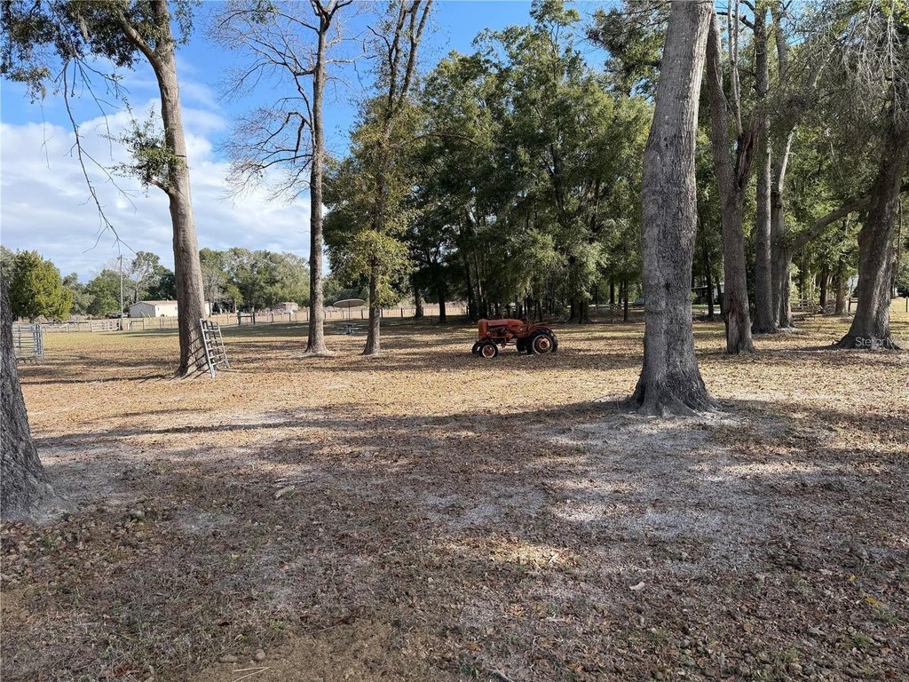 Picture 22