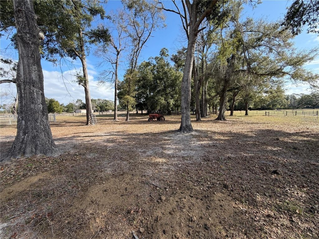 Picture 23