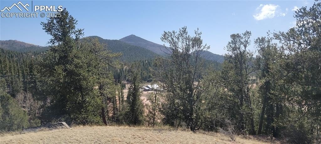 Colorado Rockies Land Opportunity