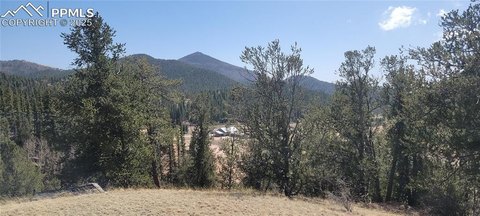 Land in Cripple Creek Estates