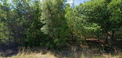 Land, DUNNELLON, FL