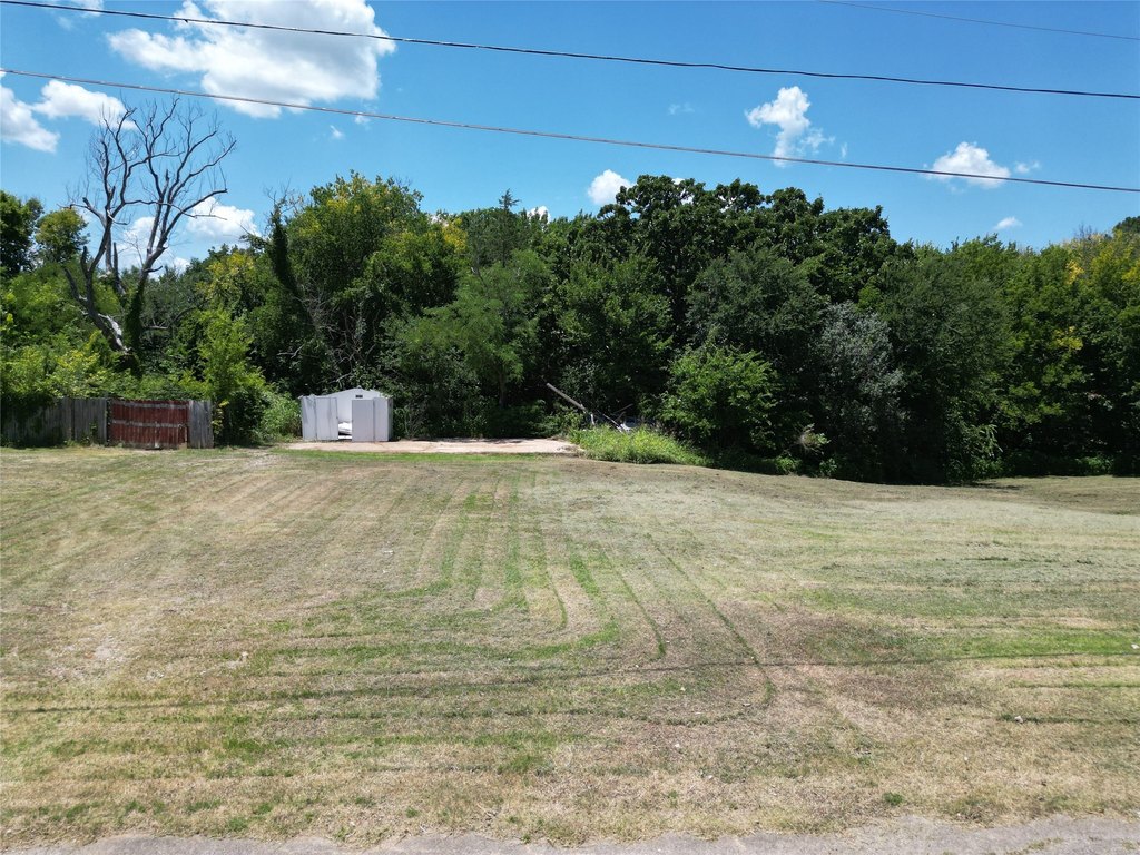 Picture 6