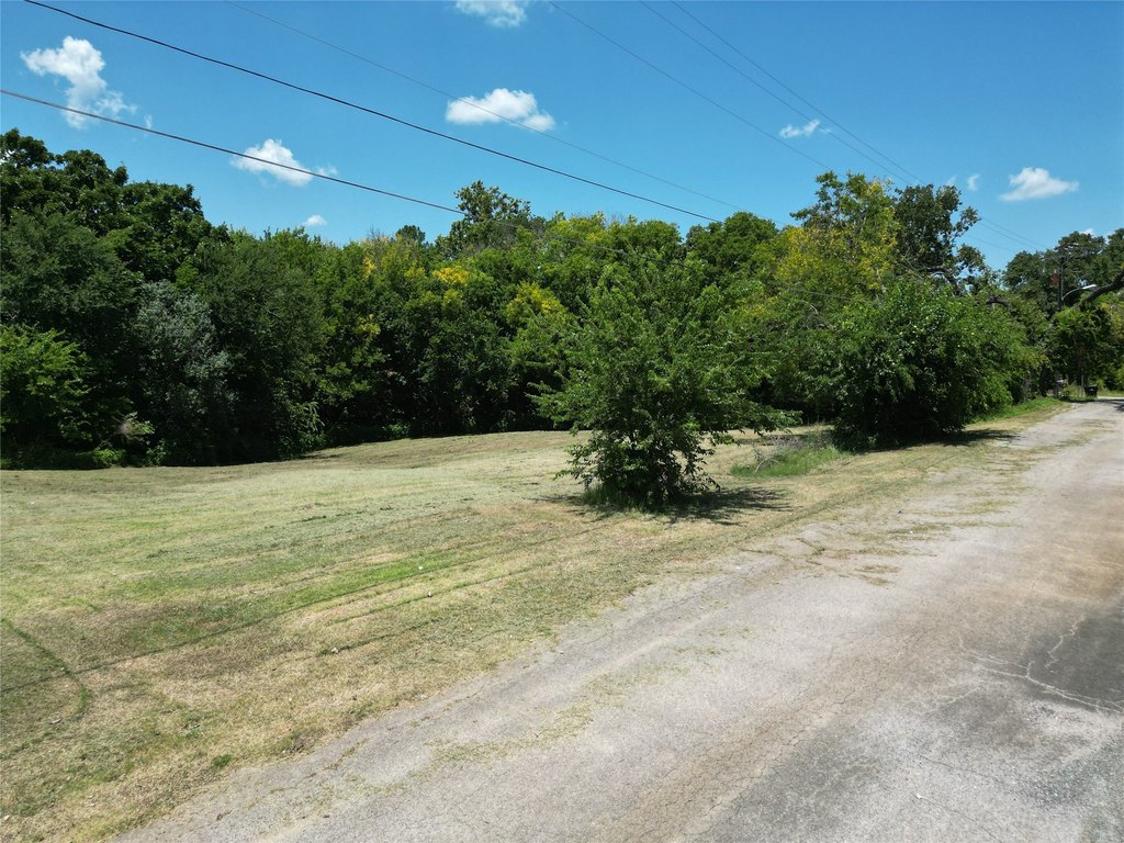 Picture 5