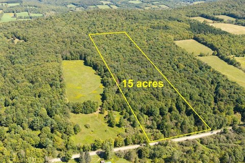 Land Parcel in Delhi, NY