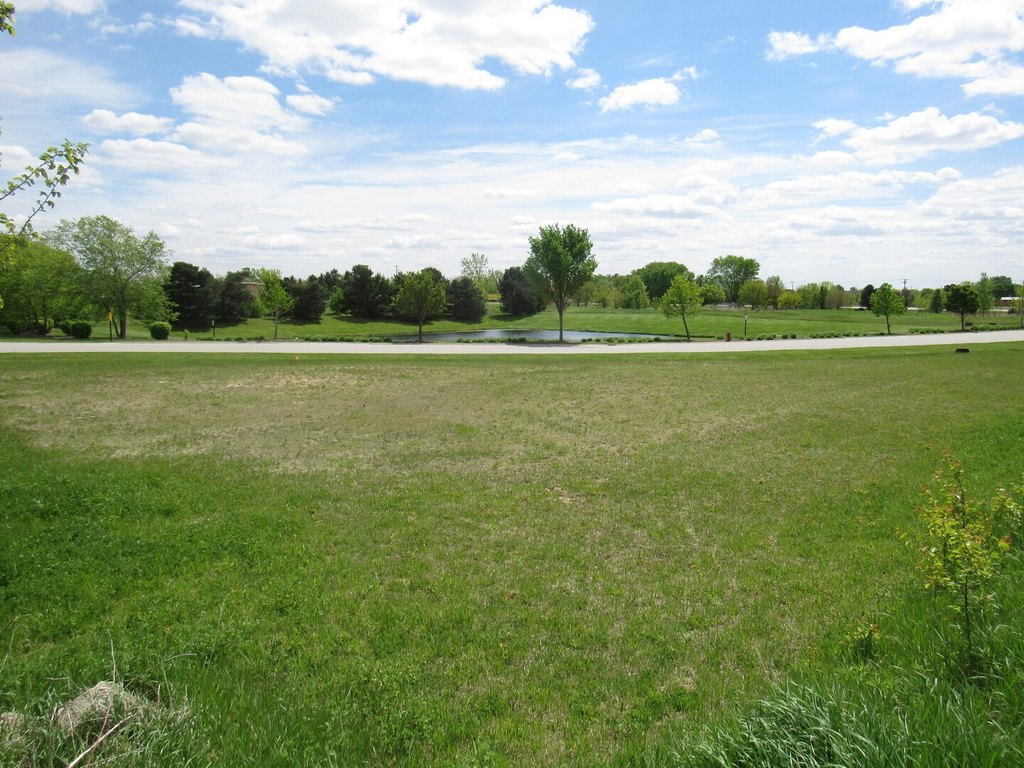 Picture 11