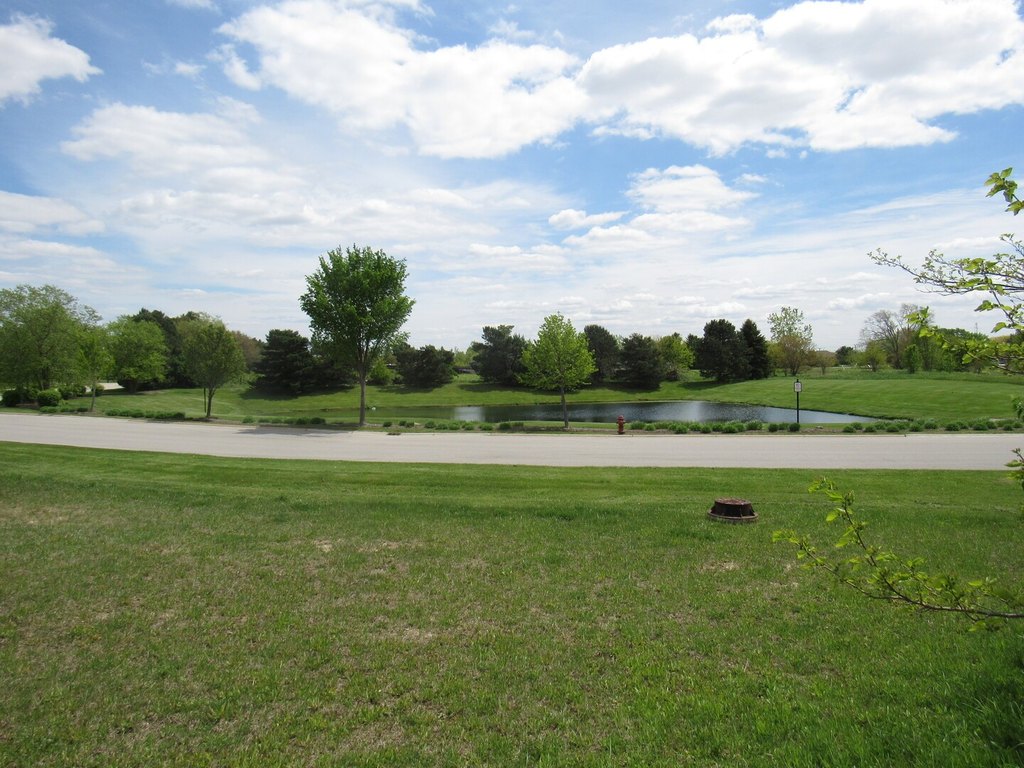 Picture 14