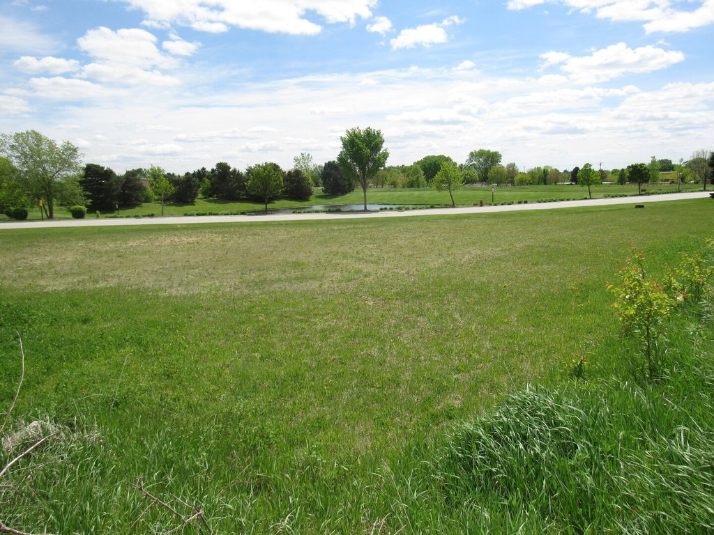 Picture 12