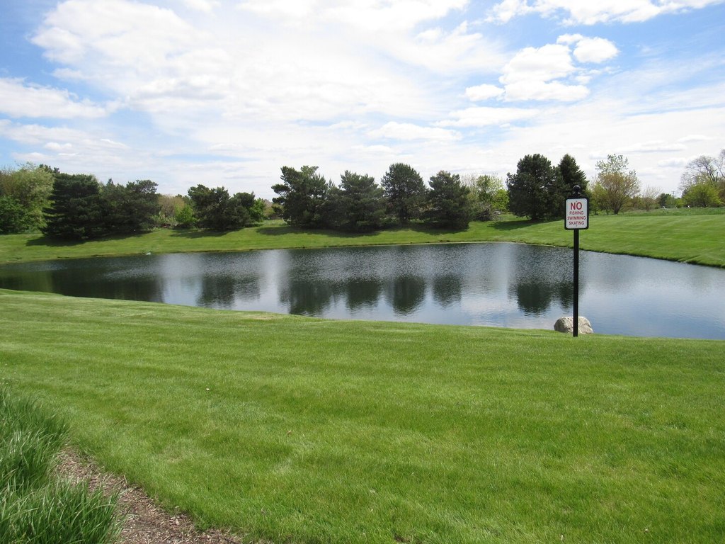Picture 6