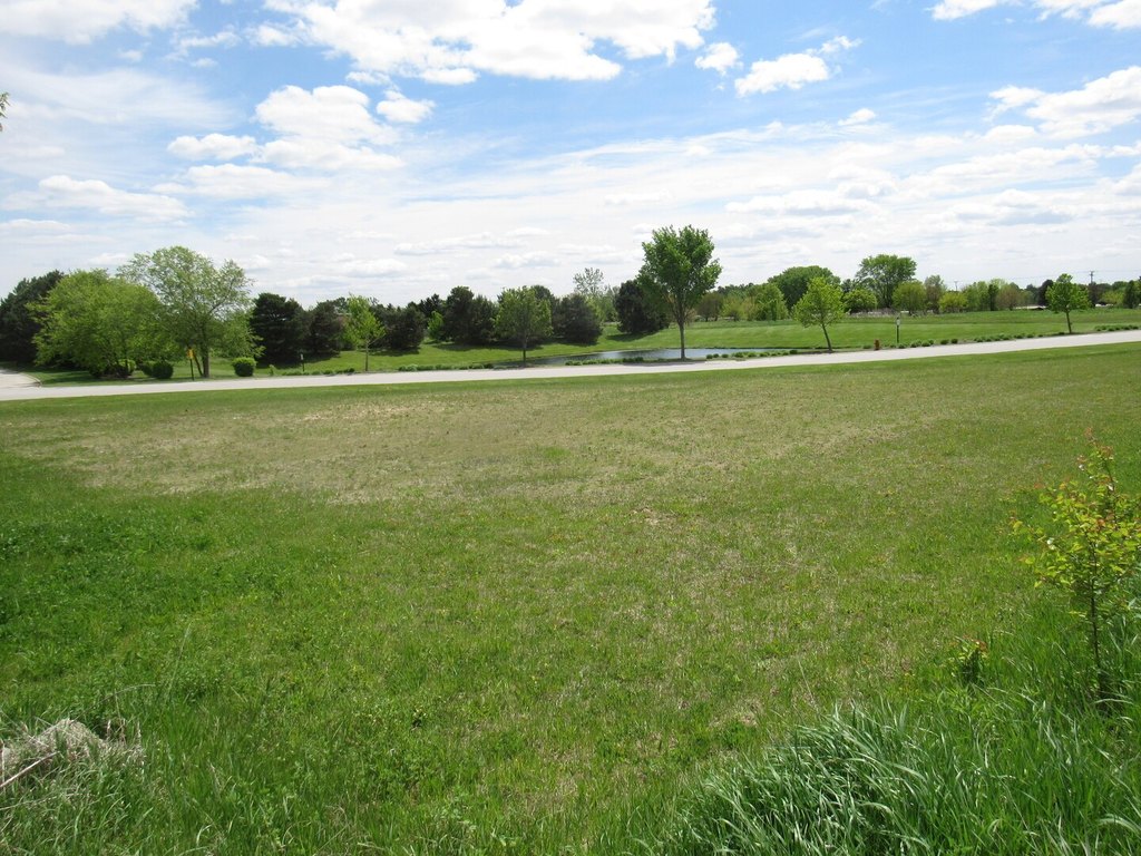 Picture 10