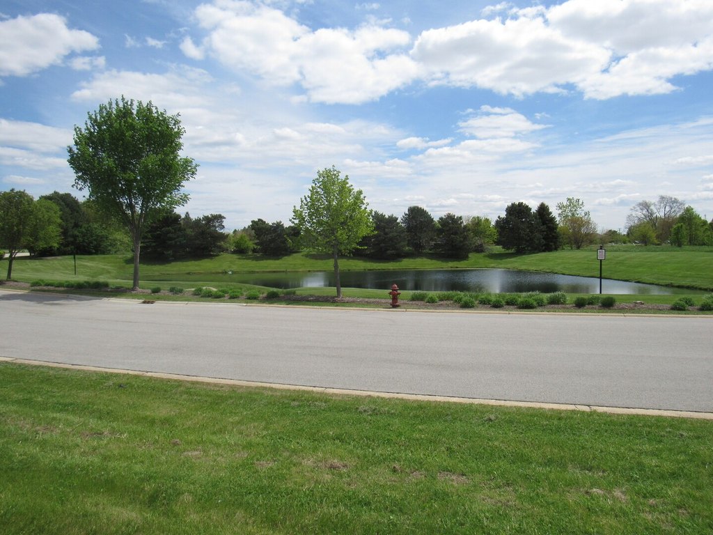 Picture 15
