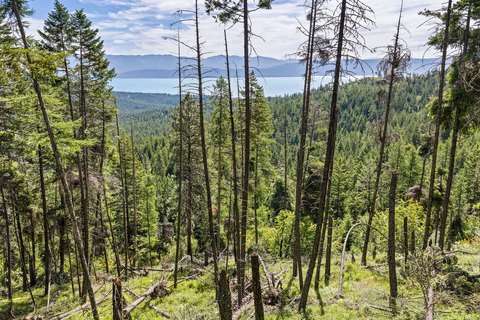 Build-Ready Private Acreage