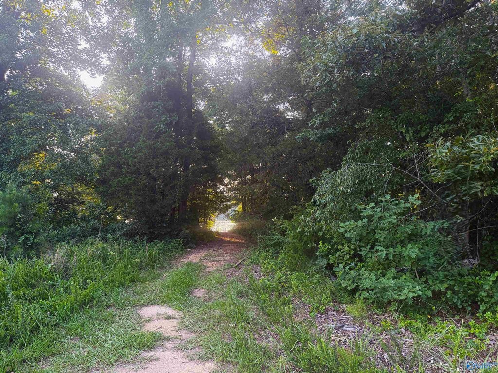 Picture 9