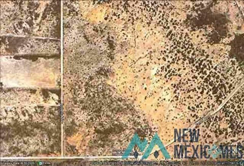 Flat 10-Acre Parcel Near Spaceport