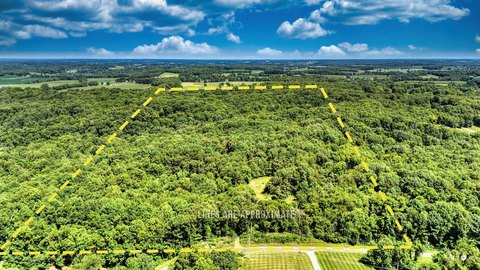 Wooded Hunting Land