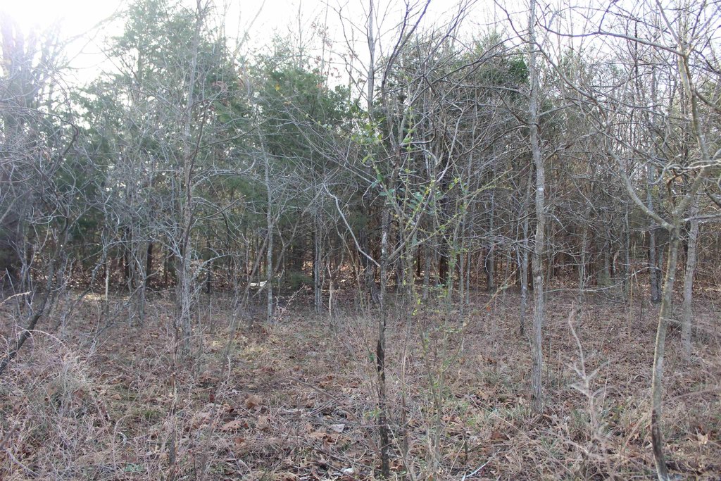 Picture 4