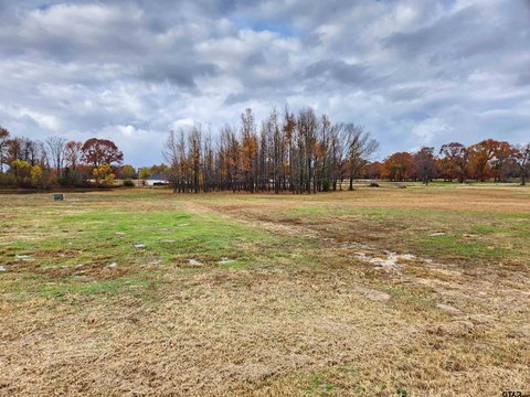 Land, Mineola, TX
