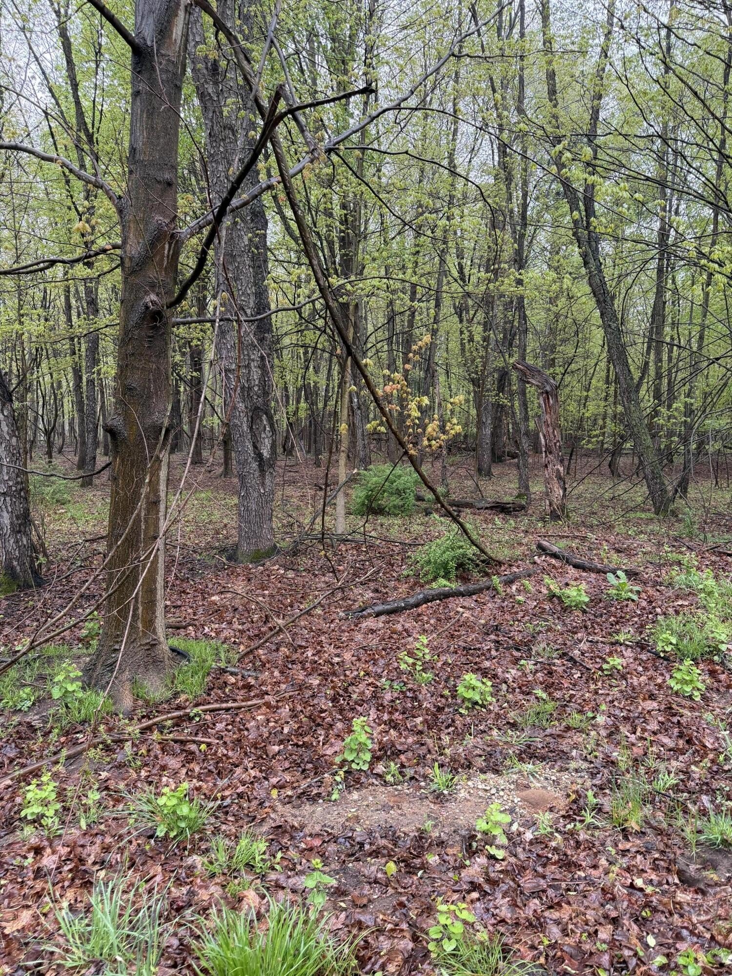 South Haven Land Opportunity