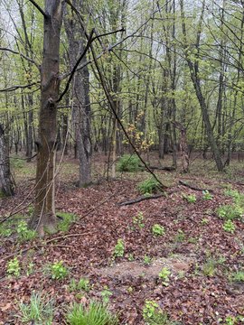 South Haven Land Opportunity