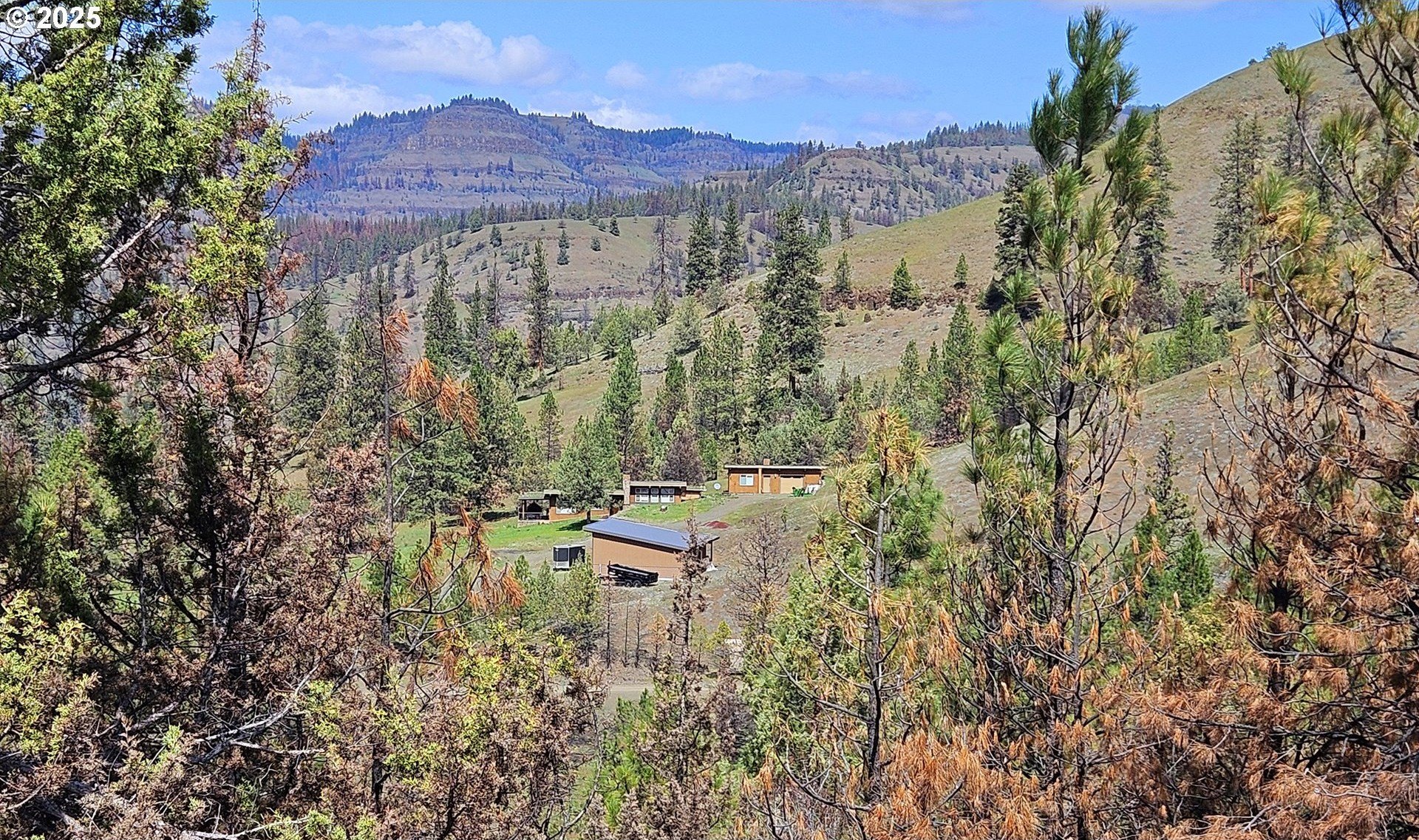 Secluded Timbered Land Near River