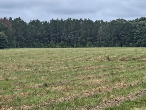 Vacant Land - Akron, AL