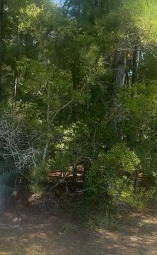 Mint Julep Air Park Acreage