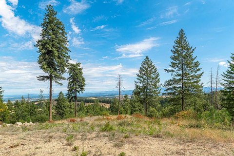 Spokane Buildable Land with Views