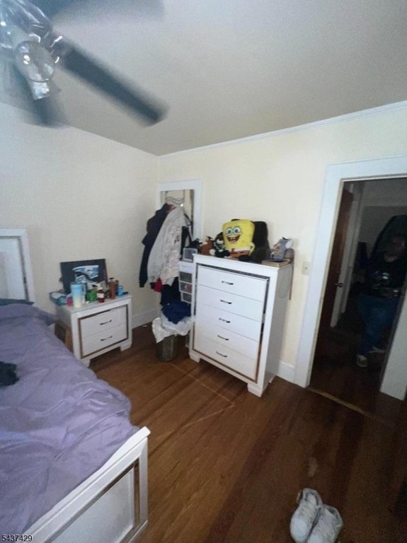 Picture 6