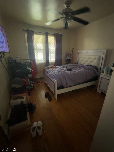 Picture 5