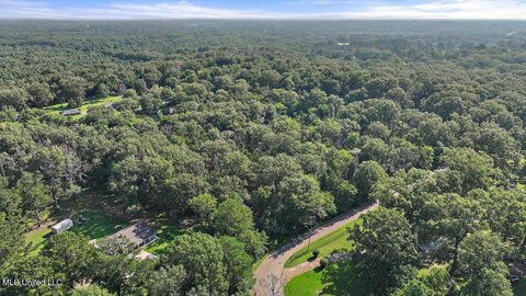 8.5 Acres Wooded Land Clinton