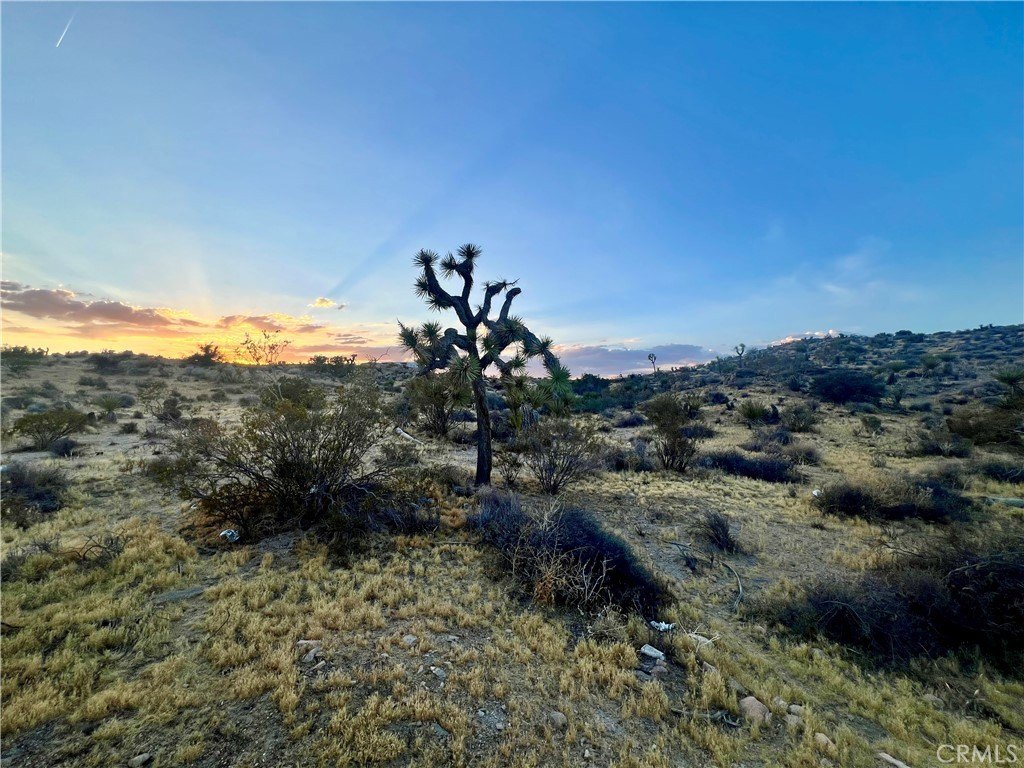 Picture 20