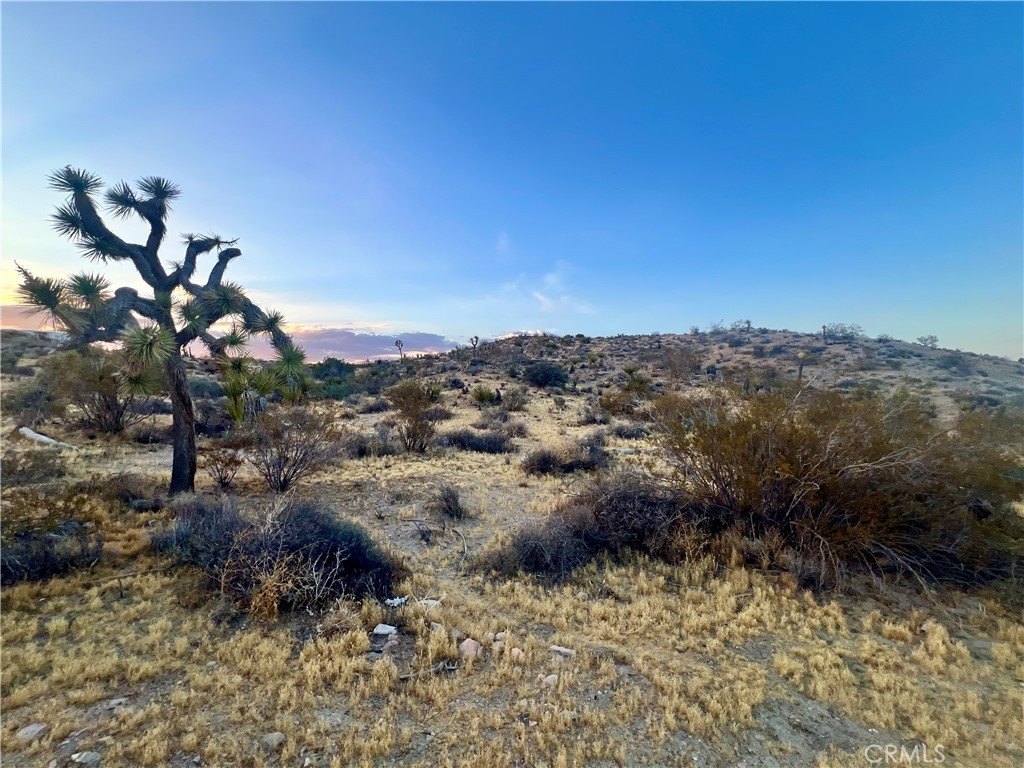 Picture 19