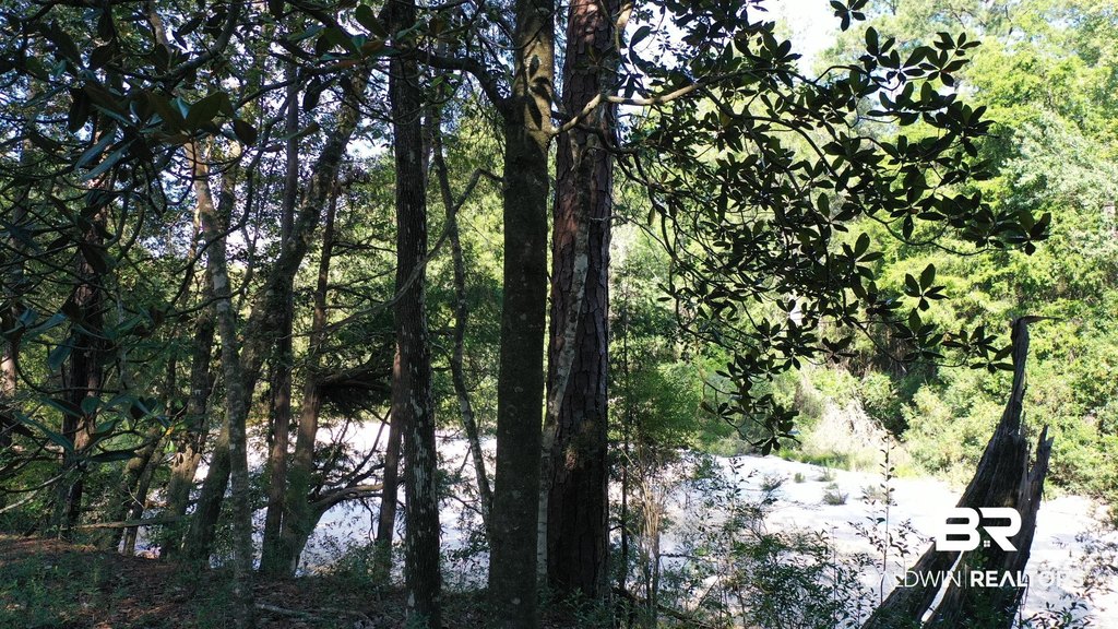 Picture 26