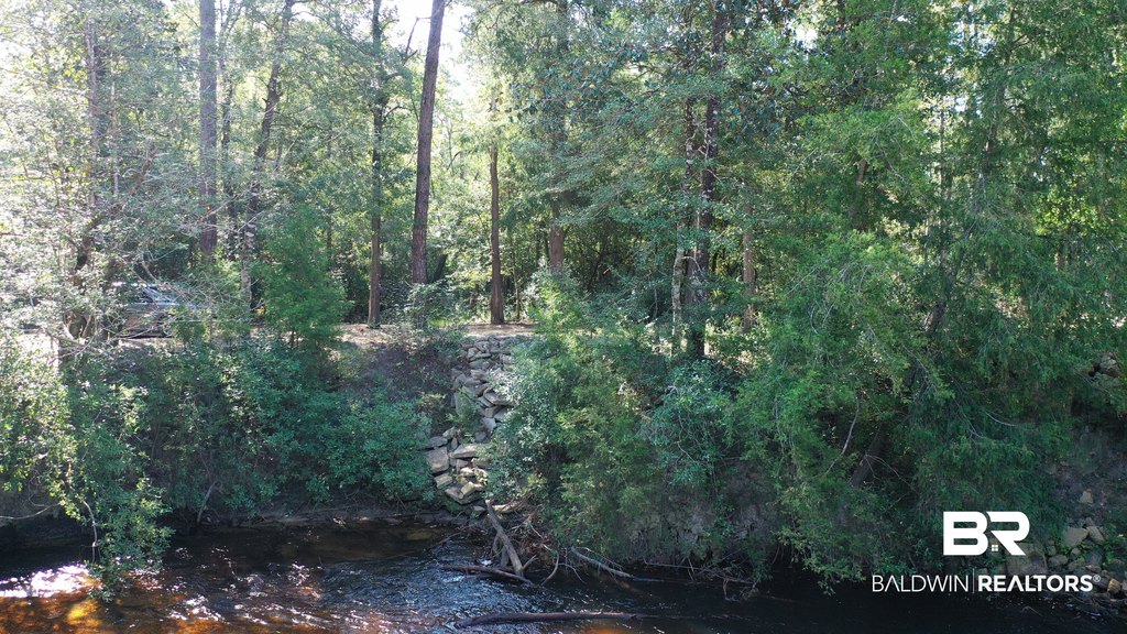 Picture 13