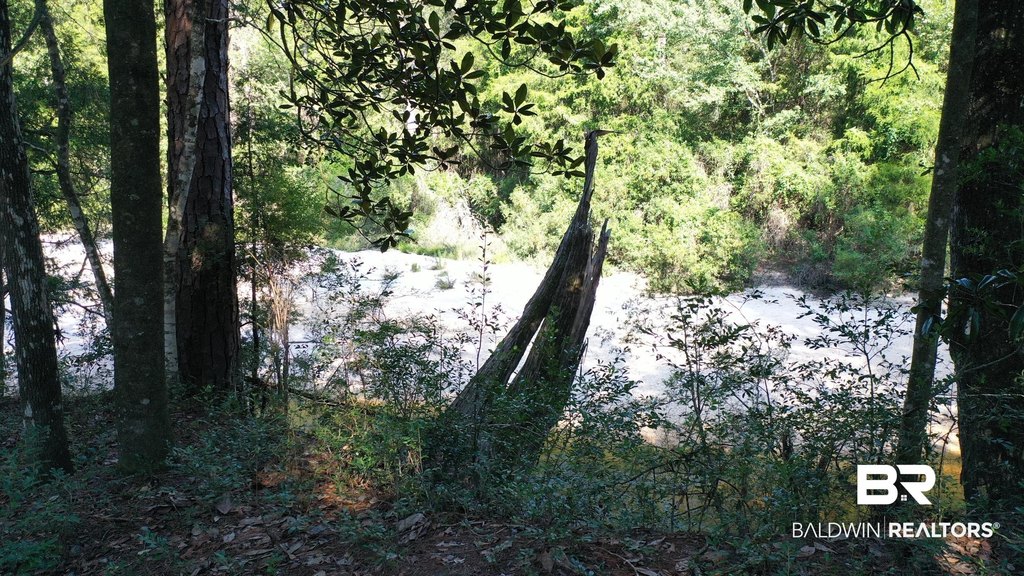 Picture 25