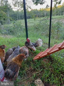 21.5 Acres in Mountain Creek