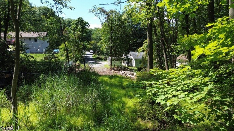 Picture 14